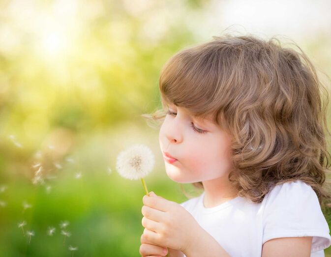 Aprenda a não sofrer com as alergias na primavera