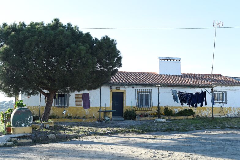 Agricultor de Elvas na verdade não é dono de nada