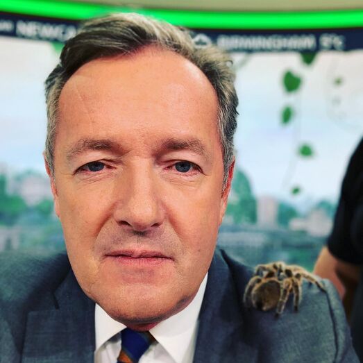 Desde que foi anunciado o noivado real, Piers Morgan usa as suas plataformas para atacar a duquesa de Sussex. "Ela é, lamento dizer, um pouco uma alpinista social"