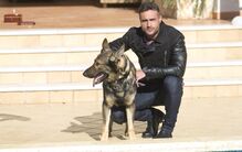 'MAX' destrói as 7 da tarde
