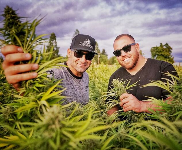 Meghan Markle, Harry, inglaterra, grã-bretanha, cannabis, marijuana, droga, primo, família, duques de sussex