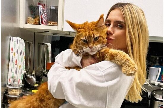 Quase do tamanho da dona! Gato gigante de Carolina Dieckmmann enlouquece os fãs