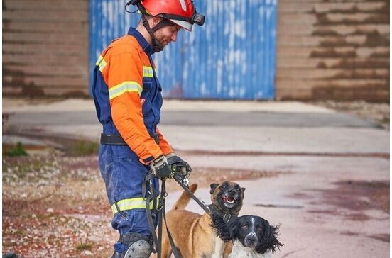 Parabéns, Billy e Betsy! Estes dois patudos são os novos cães de salvamento dos Bombeiros Sapadores de Lisboa