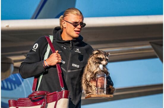 Haaland com o Whiskey Raccoon