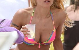 Michelle Hunziker esbanja sensualidade em Miami