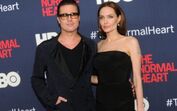 Angelina Jolie vai retirar ovários