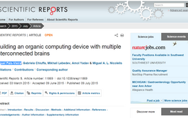 Cientista português mostra como cérebros de dois animais podem trabalhar em conjunto