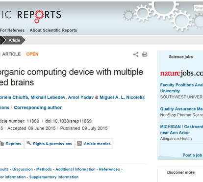 Cientista português mostra como cérebros de dois animais podem trabalhar em conjunto