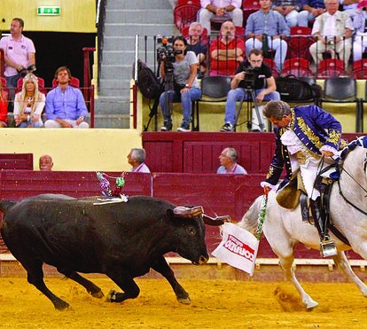 Noite de festa no Campo Pequeno