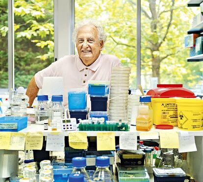 Alexandre Quintanilha: 'Era mau aluno no liceu'