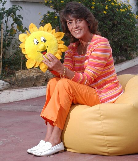 Teresa Almeida, SOL, presidente, associação, fundação, fundadora