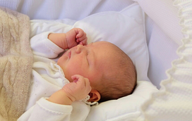 Veja foto oficial do príncipe Alexander