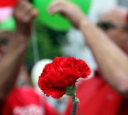 Não deixe passar a data em branco e celebre os 50 anos do 25 de Abril de uma forma especial
