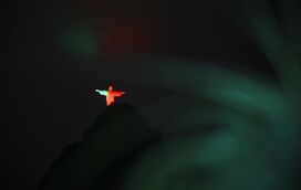 Rio2016: Cristo Redentor iluminado com cores de Portugal