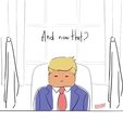 Trump, Donald Trump, Donald Trump posse, USA, o fim, novo presidente, memes
