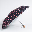 Shopping chuva