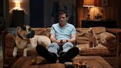 ator ryan reynolds cães