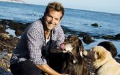ator bradley cooper cães