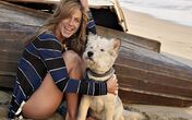 jennifer aniston cão