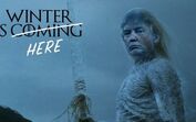 Trump, Donald Trump, Donald Trump posse, USA, o fim, novo presidente, memes