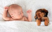 bebé e cachorro