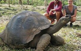 Sara Sampaio namora no paraíso