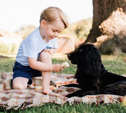 Kate Middleton e William choram perda de Lupo, a mascote da família