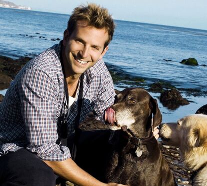 Cruzes, credo! O que se passou com o rosto de Bradley Cooper?
