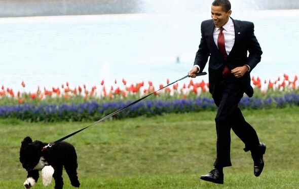 cao obama
