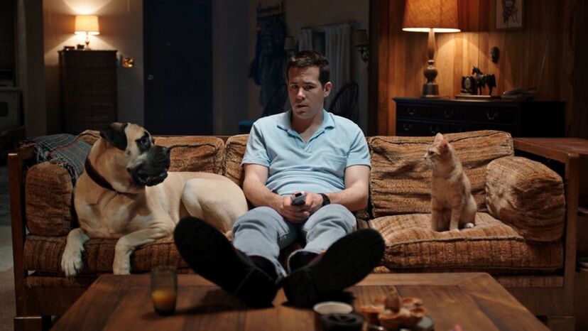 ator ryan reynolds cães