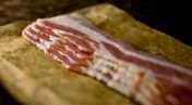 bacon