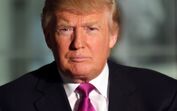 donald trump, trump