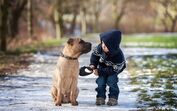  cão e criança 