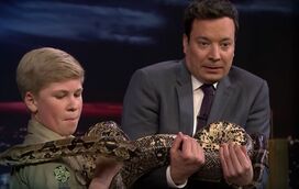 Filho do "caçador de crocodilos" já é estrela em Hollywood 