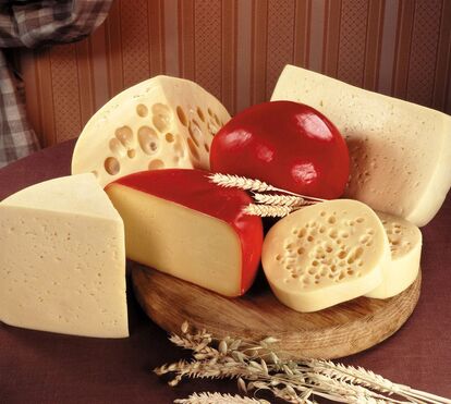 13 alimentos que podem matar o seu cão