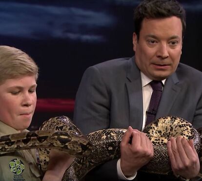 Filho do 'caçador de crocodilos' já é estrela em Hollywood 