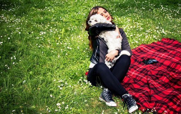 cão e dona