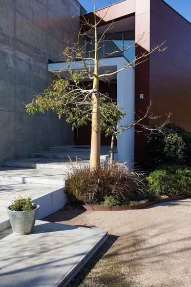 Casa Dentistas Fernando Bonfante