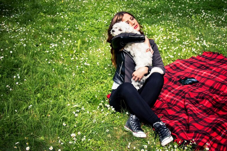 cão e dona
