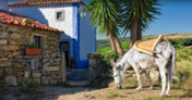 aldeia da mata pequena hotel hoteis turismo rural