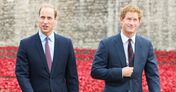 William e Harry 