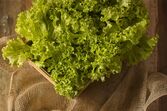 alface alimentos
