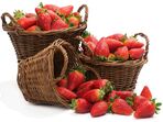 morangos fruta