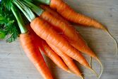 cenouras vegetais alimentos