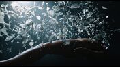'Ghost in the Shell'