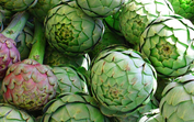 alcachofra comida legumes