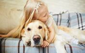 Veja o que o cão faz para tirar a bola ao bebé