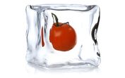alimentos gelo tomate