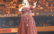 Adele zanga-se com segurança em pleno concerto