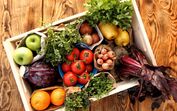 legumes biológicos alimentos